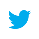 twitter bird